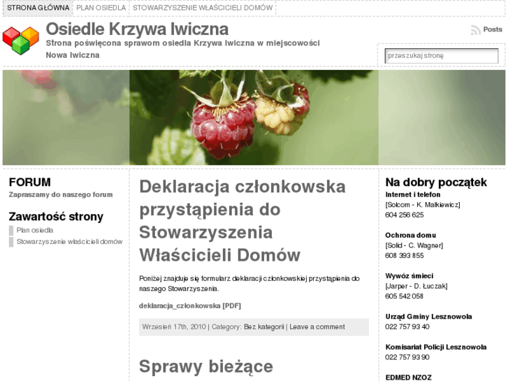 www.krzywa-iwiczna.pl