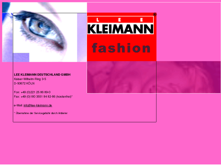 www.lee-kleimann.com