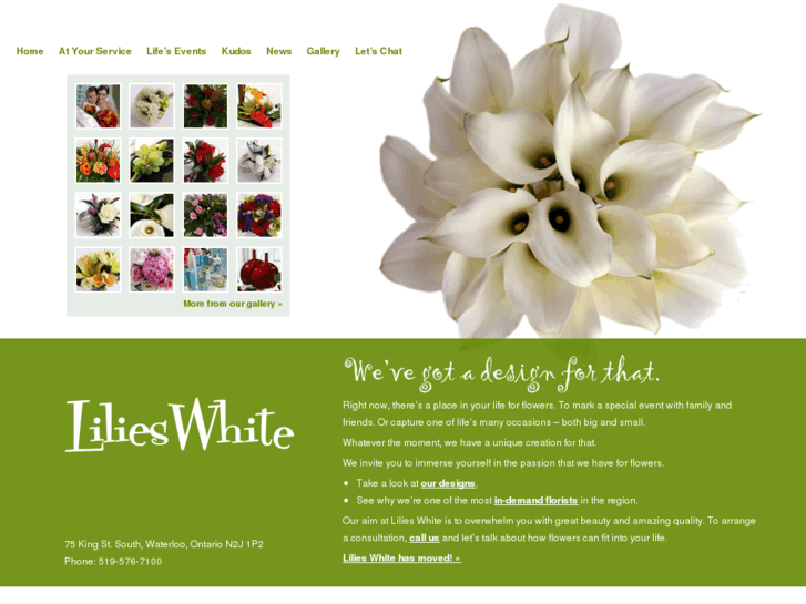 www.lilieswhite.com