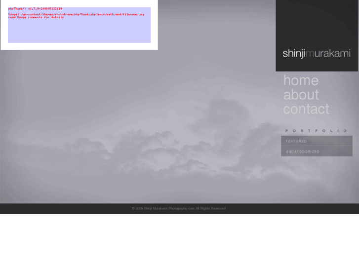 www.shinjimurakami.com