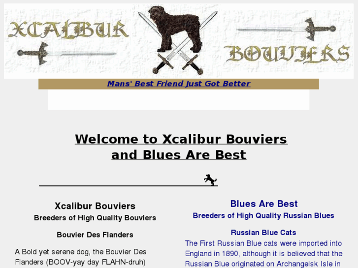 www.xcalibur-bouviers.com