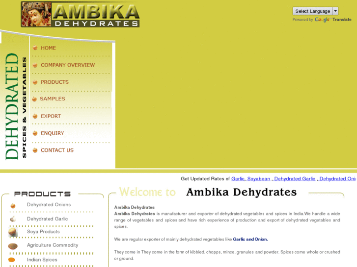 www.ambika-india.com