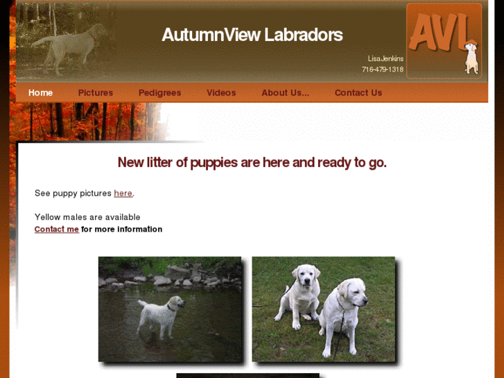 www.autumnviewlabs.com