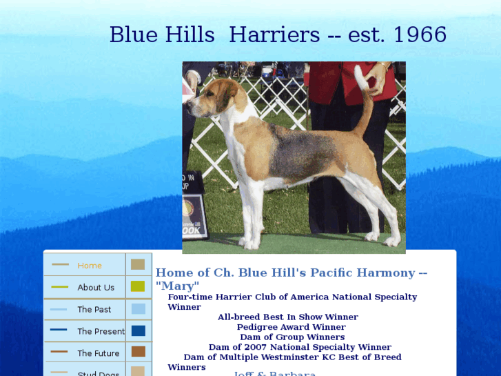 www.bluehillsharriers.com