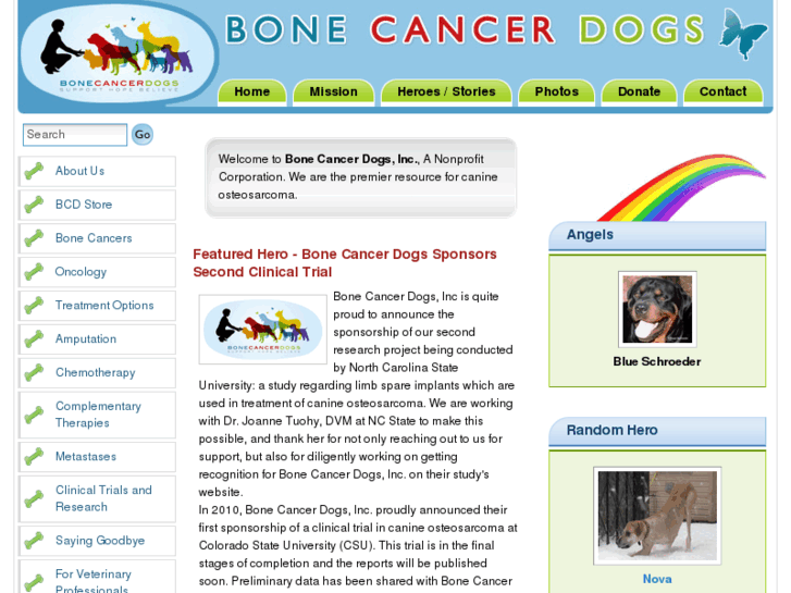 www.bonecancerdogs.org