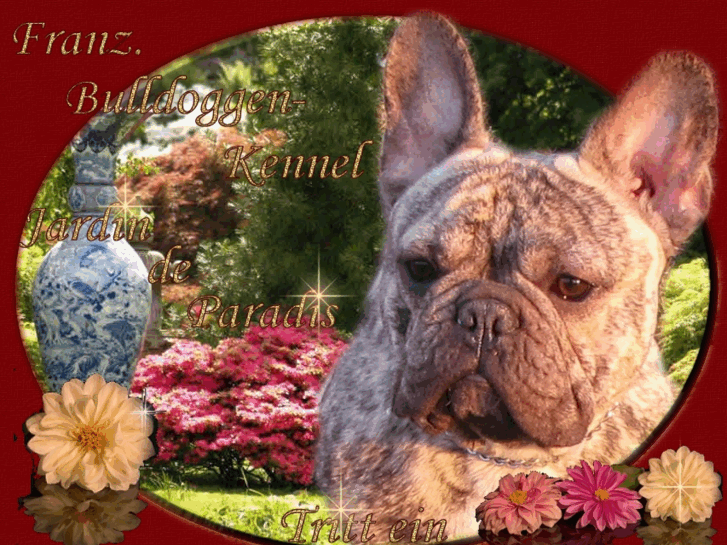 www.bulldoggen-kennel.com