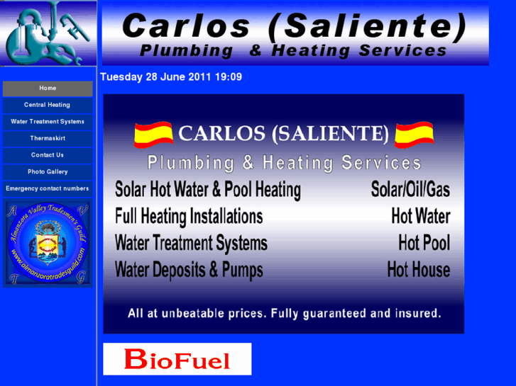 www.carlossaliente.com