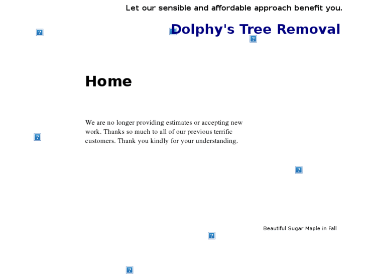 www.dolphytree.com