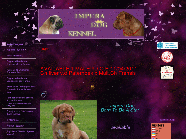 www.imperadog.com