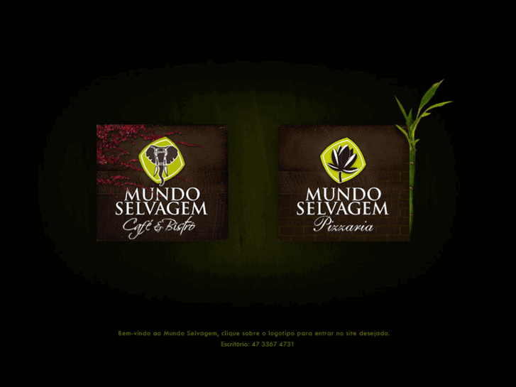 www.mundoselvagemcafe.com.br