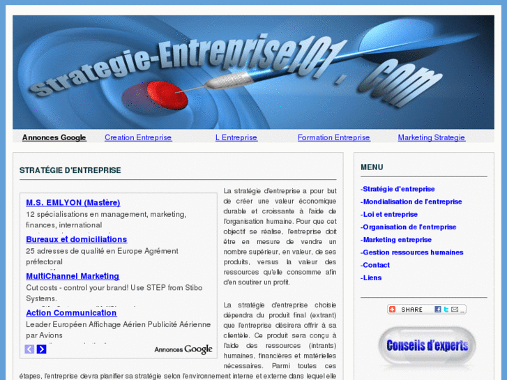 www.strategie-entreprise101.com