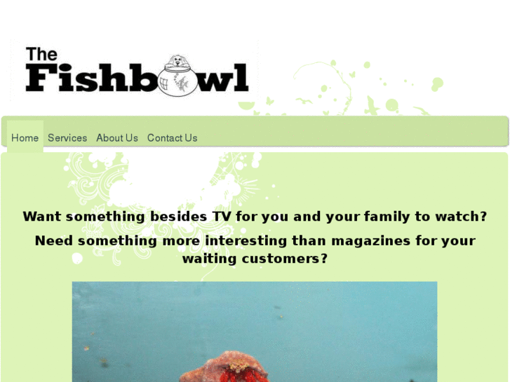 www.thefishbowlpeople.com