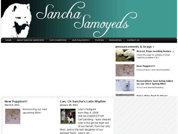 www.sanchasamoyeds.com