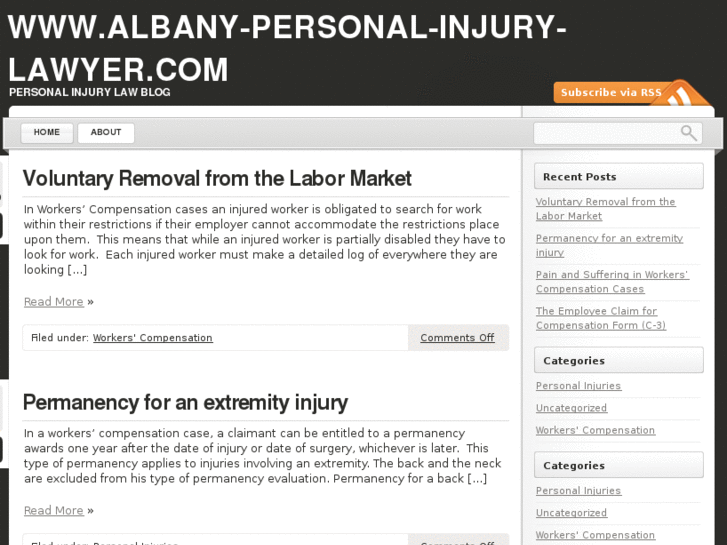 www.albany-personal-injury-lawyer.com