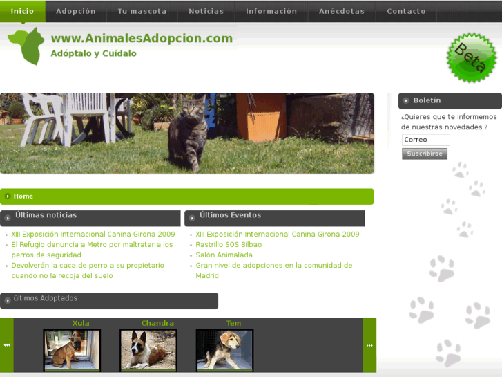 www.animalesadopcion.com