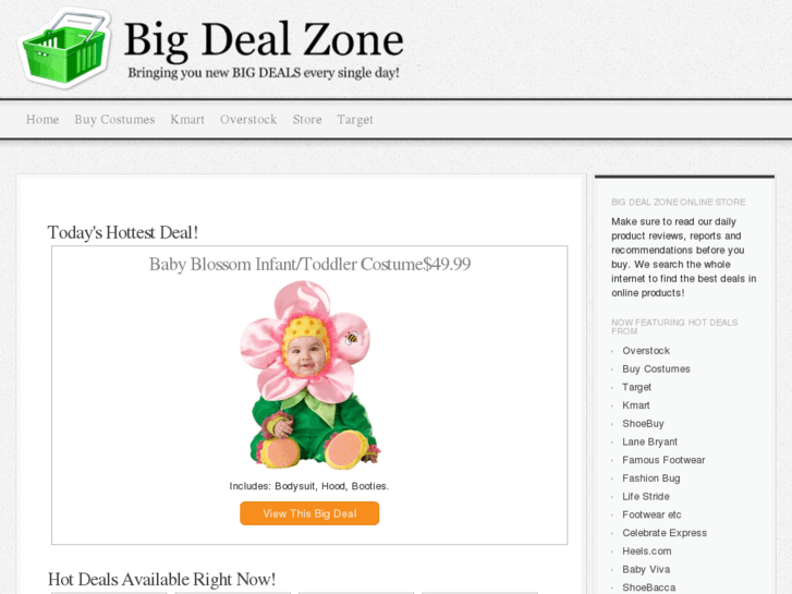 www.bigdealzone.com