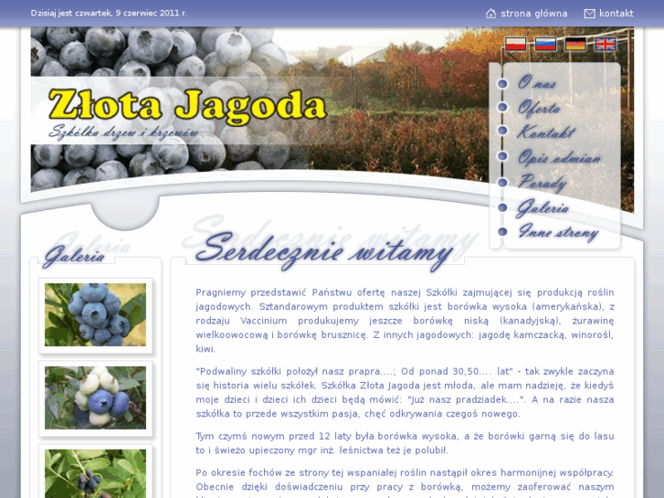 www.borowka.pl