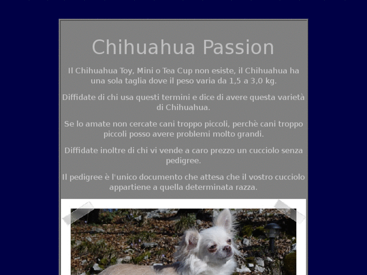 www.chihuahuapassion.com