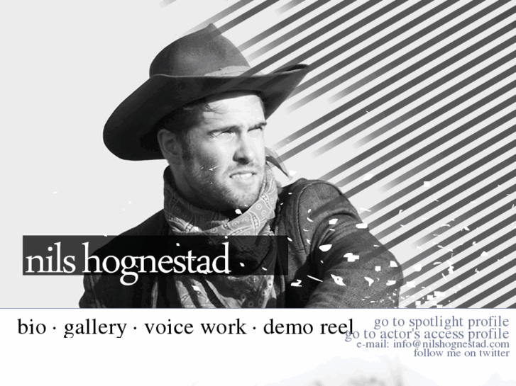 www.nilshognestad.com