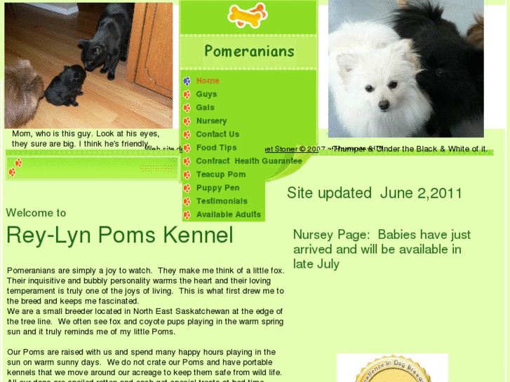 www.rey-lynpoms.com