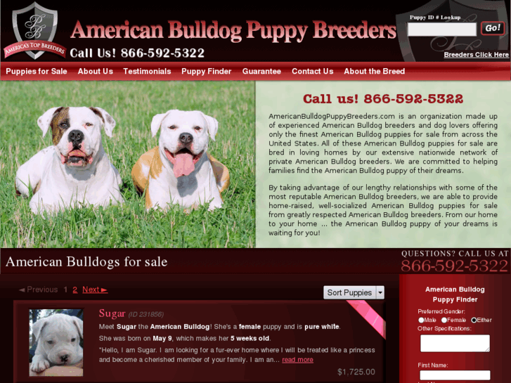www.americanbulldogpuppybreeders.net