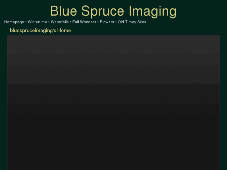 www.bluespruceimaging.com