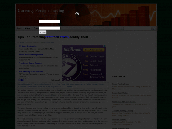 www.currencyforeigntradinginfo.com