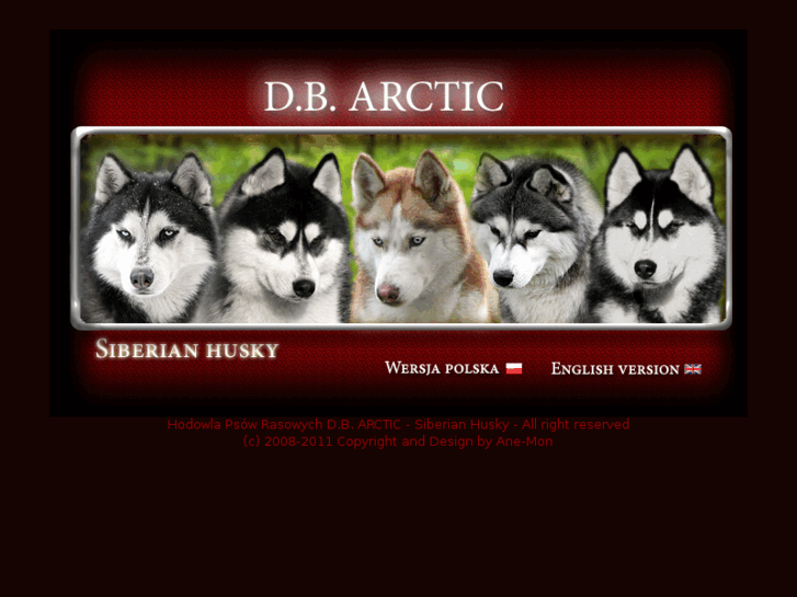 www.dbarctic.pl