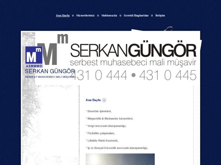 www.gungormalimusavirlik.com