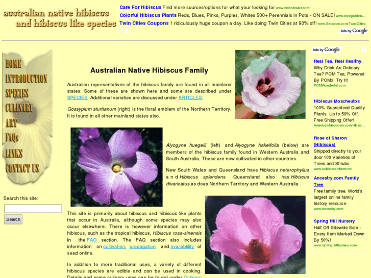 www.hibiscus.org