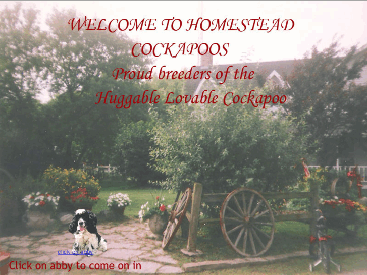 www.homesteadcockapoos.com