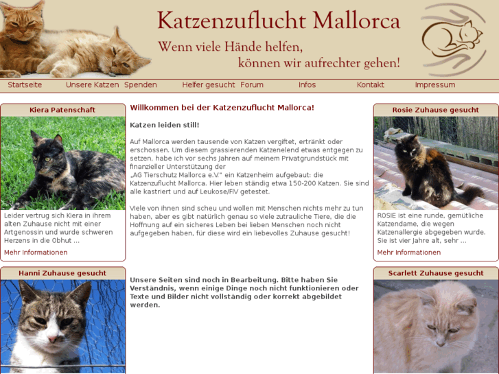 www.katzenzufluchtmallorca.com