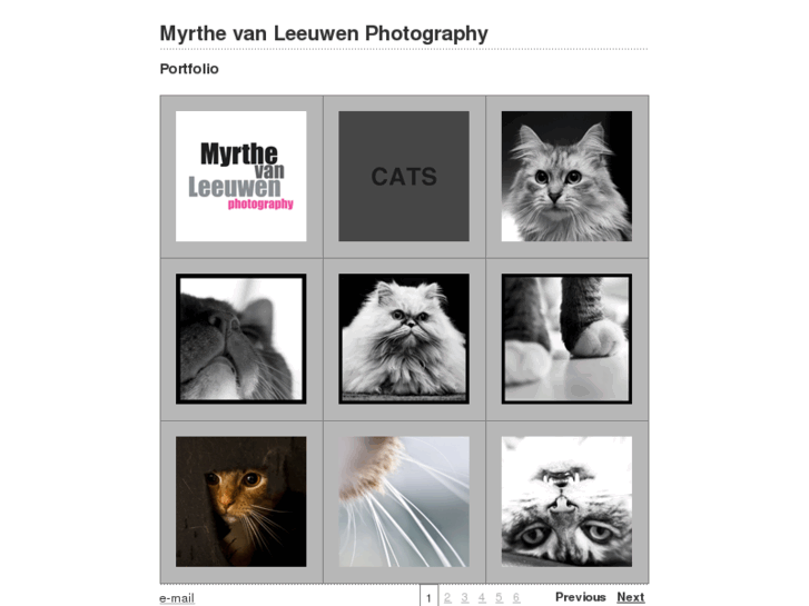 www.myrthevanleeuwen.com