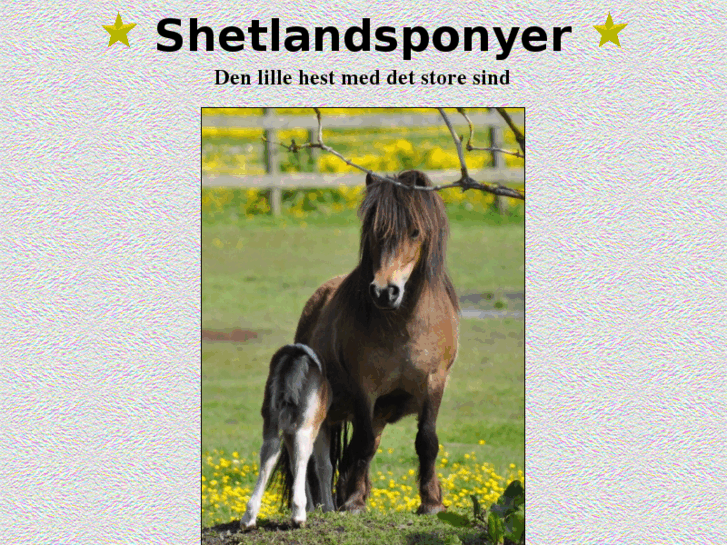 www.shetland.dk