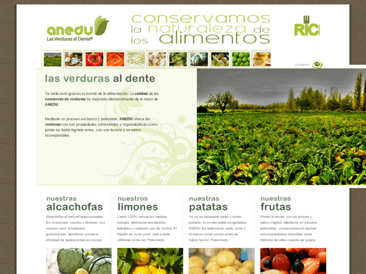 www.anedu.es