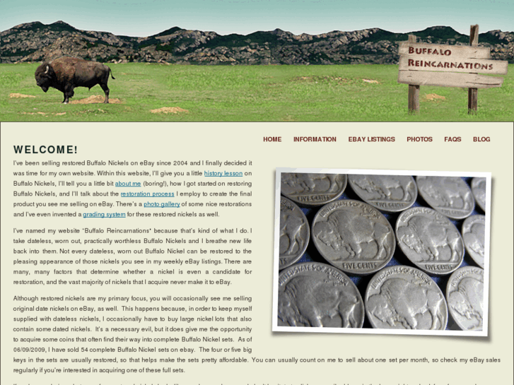 www.buffaloreincarnations.com