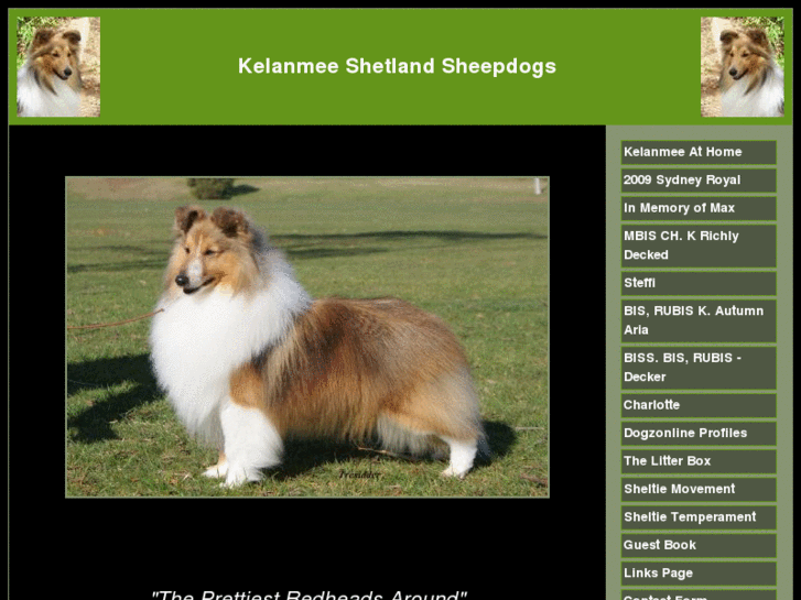 www.kelanmeeshelties.com