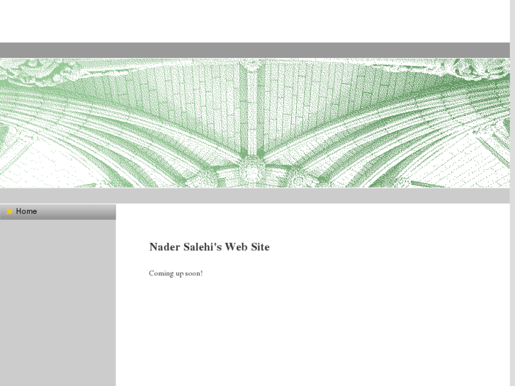 www.nader-salehi.com