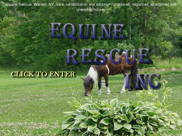 www.equine-rescue.org