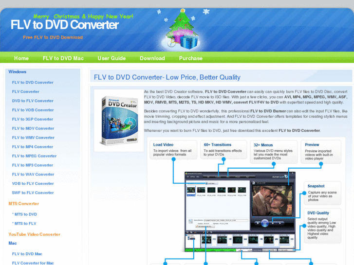 www.flvtodvdconverter.biz