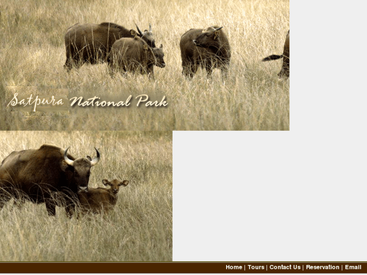 www.satpura-national-park.com