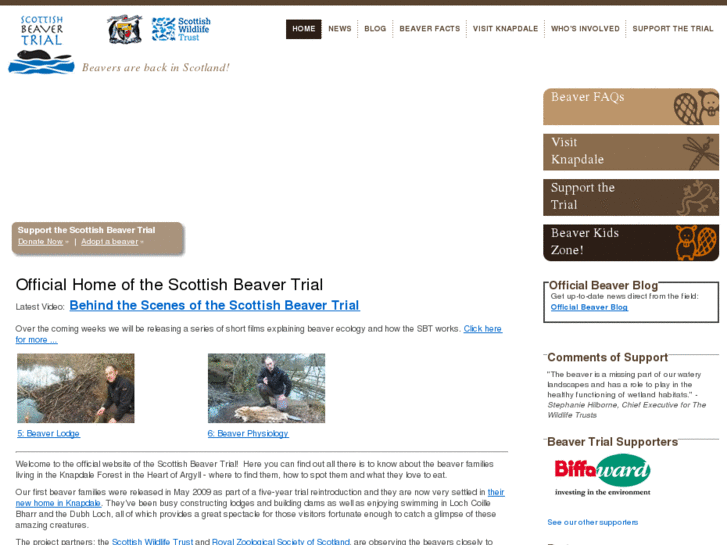 www.scottishbeavers.org.uk