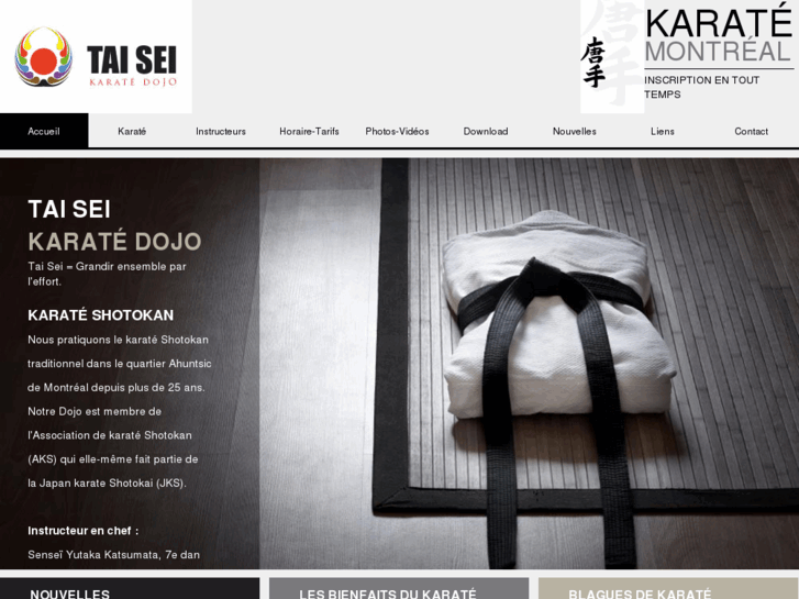 www.taiseikarate.com