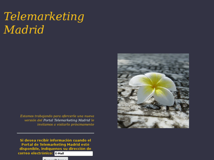 www.telemarketingmadrid.com