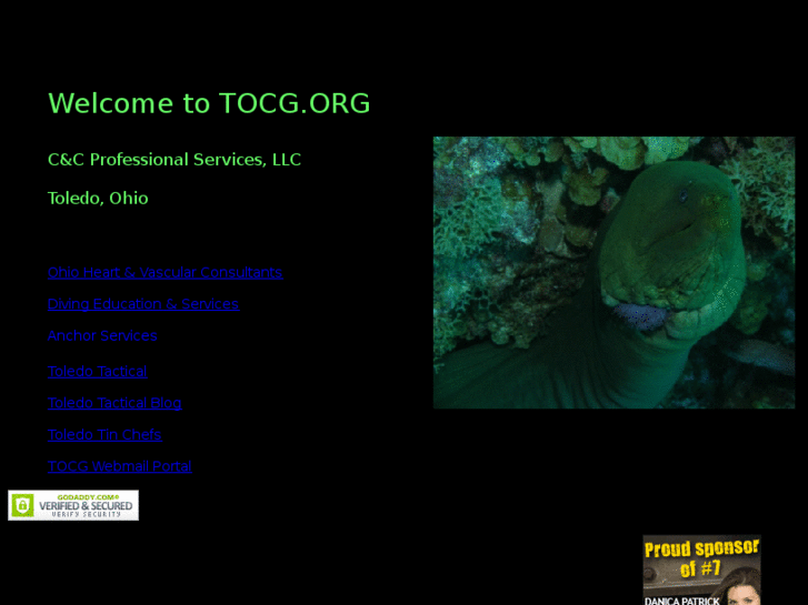 www.tocg.org
