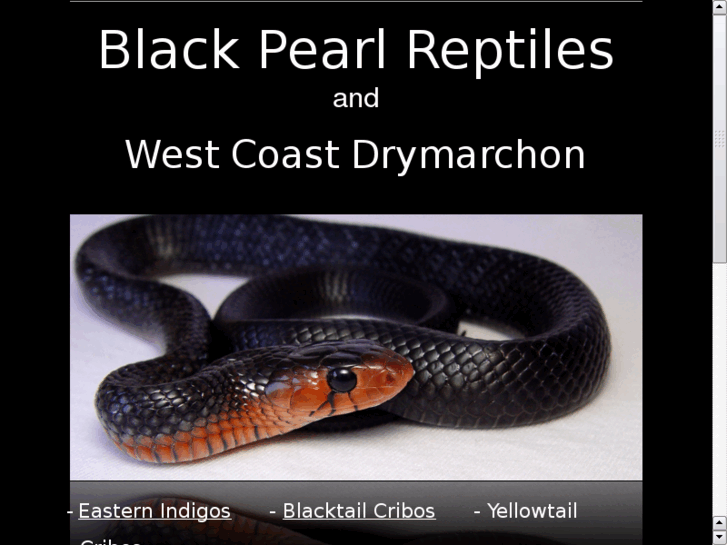 www.blackpearlreptiles.com