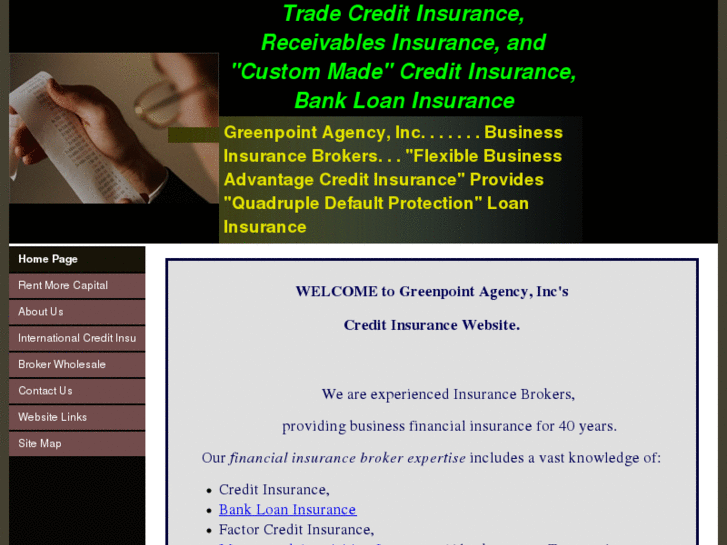 www.loaninsurance.biz