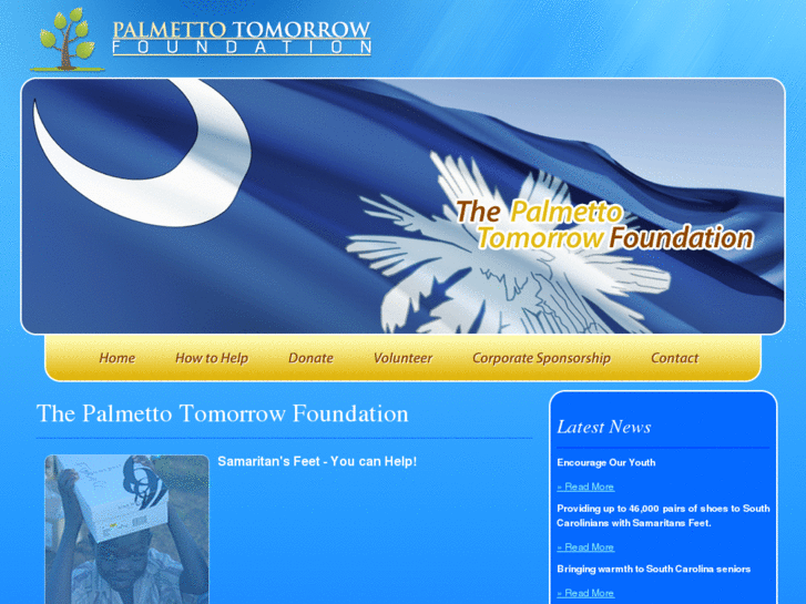 www.palmettotomorrow.org