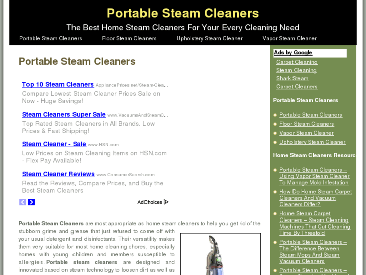 www.portable-steam-cleaners.com