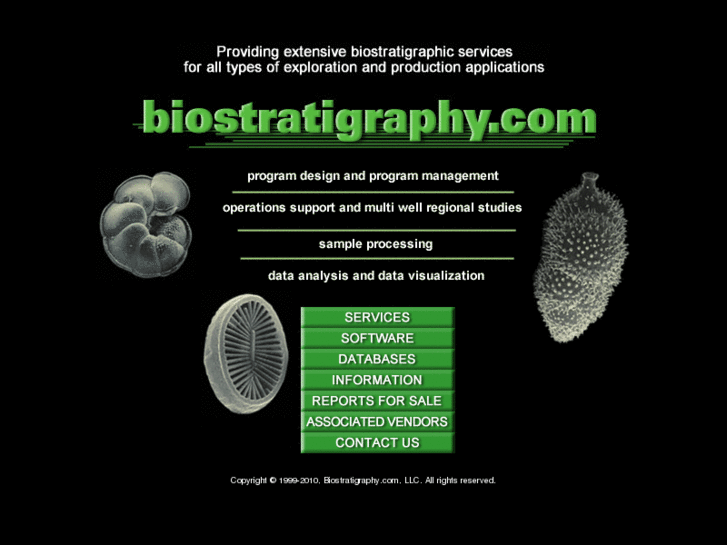 www.biostratigraphy.com